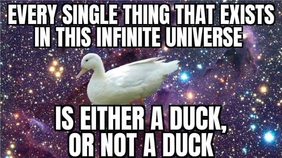 Physics = ducks with maths : r/technicallythetruth