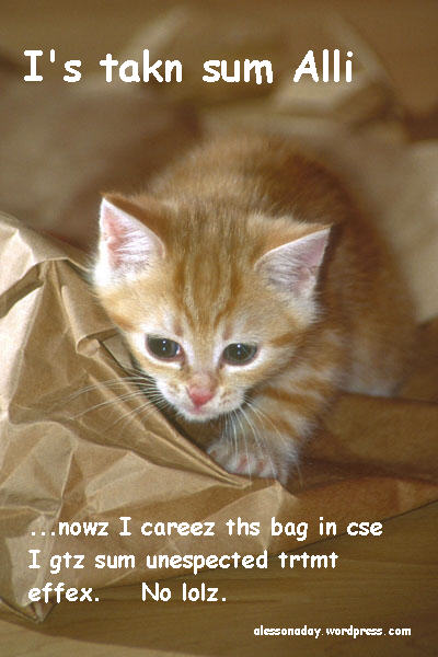 alli-cat.jpg
