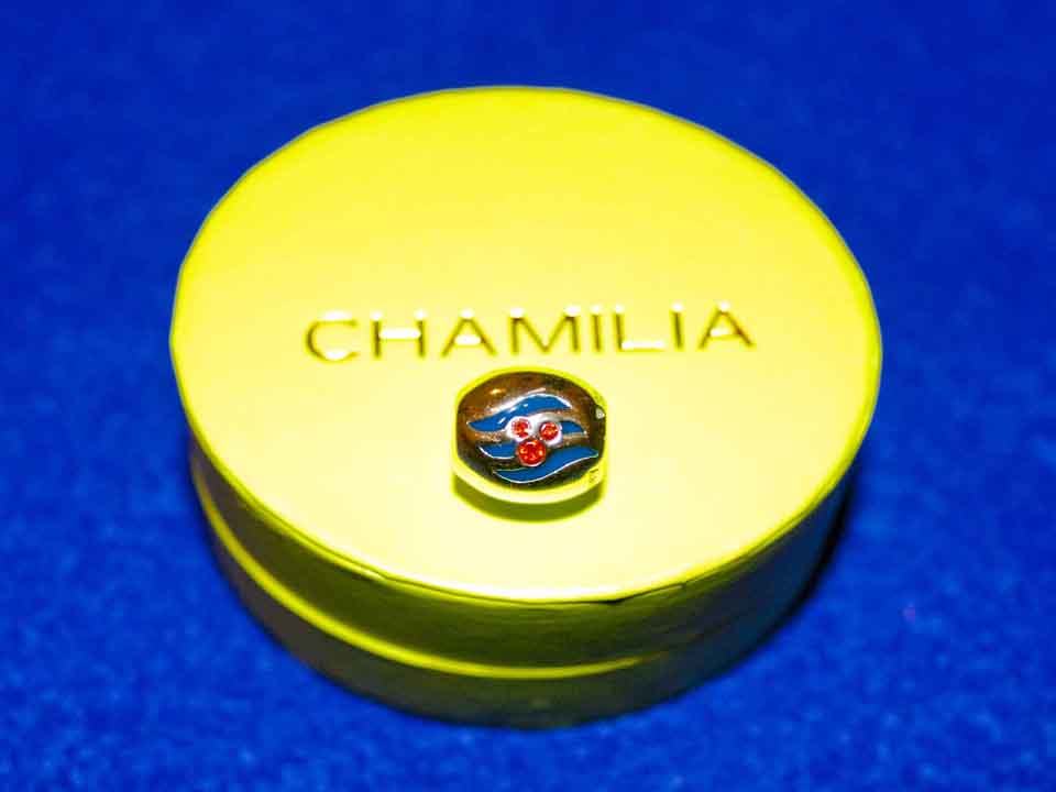 charm-pic1.jpg