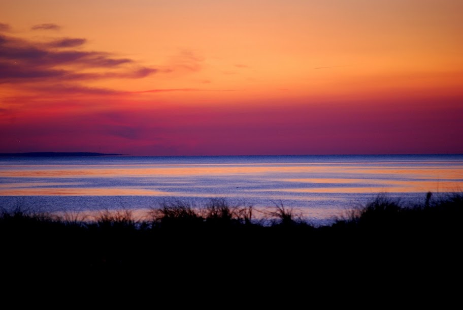 DSC_0178.JPG