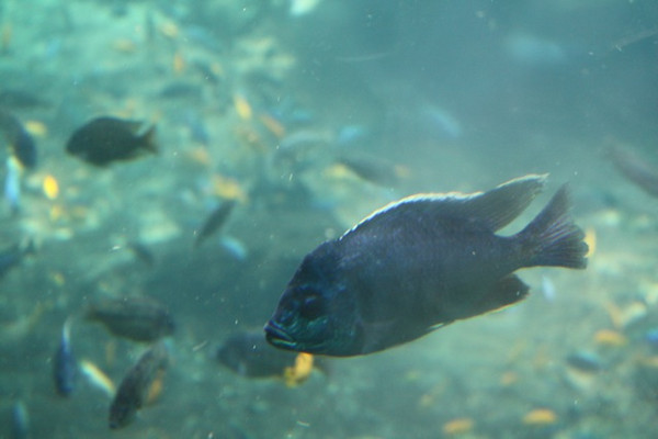 643608504_ibWtP-M.jpg