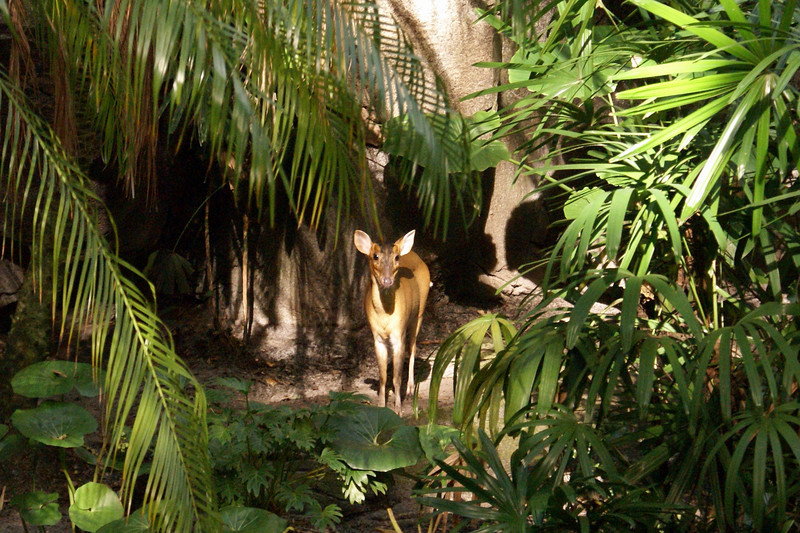 714150287_EP74x-L.jpg