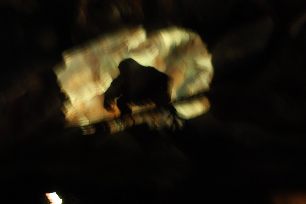 600778571_Sr2Df-M.jpg