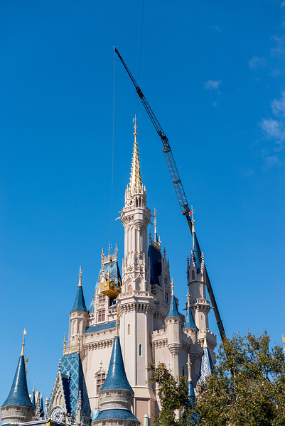 DSC_5698-L.jpg