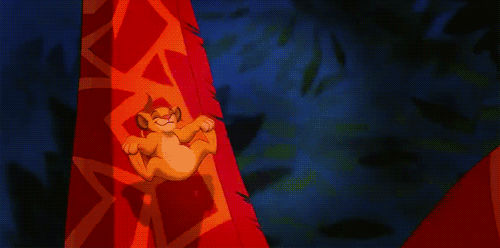tumblr_m3m26oYQMI1qm6oc3o1_500.gif