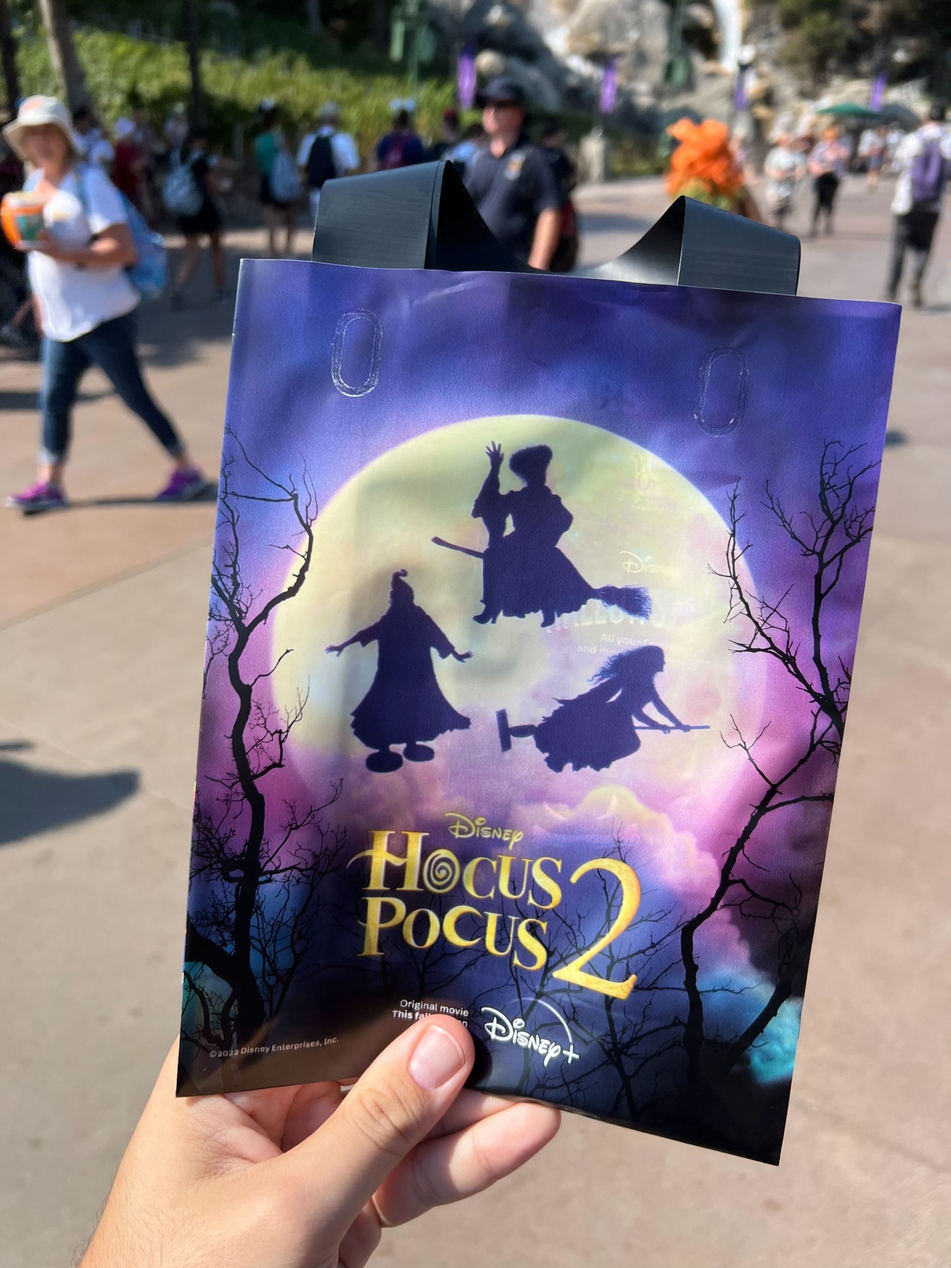 2022 Oogie Boogie Bash bag 3 scaled