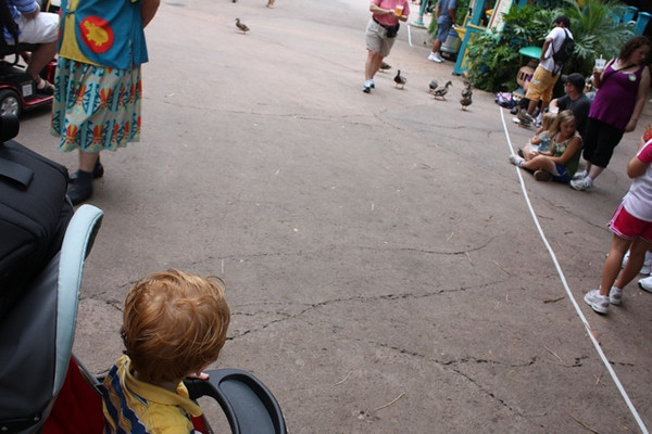 643615262_Wbn62-M.jpg