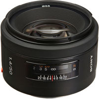 ISO5014D.JPG