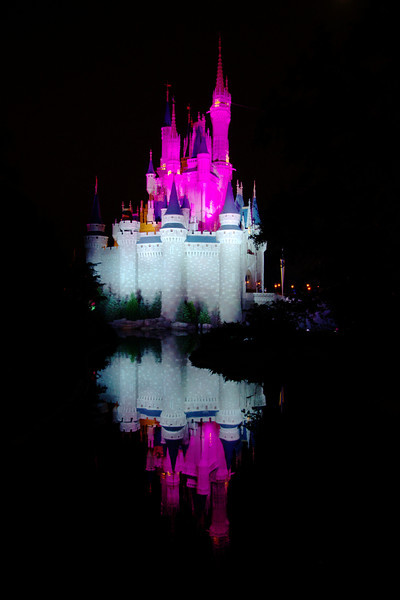 DSC7349-L.jpg