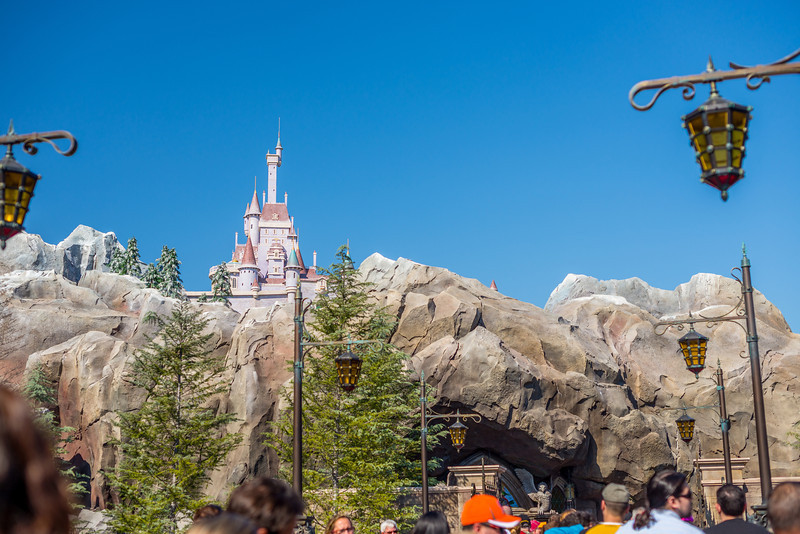 DSC_5701-L.jpg