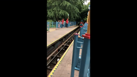 giphy.gif