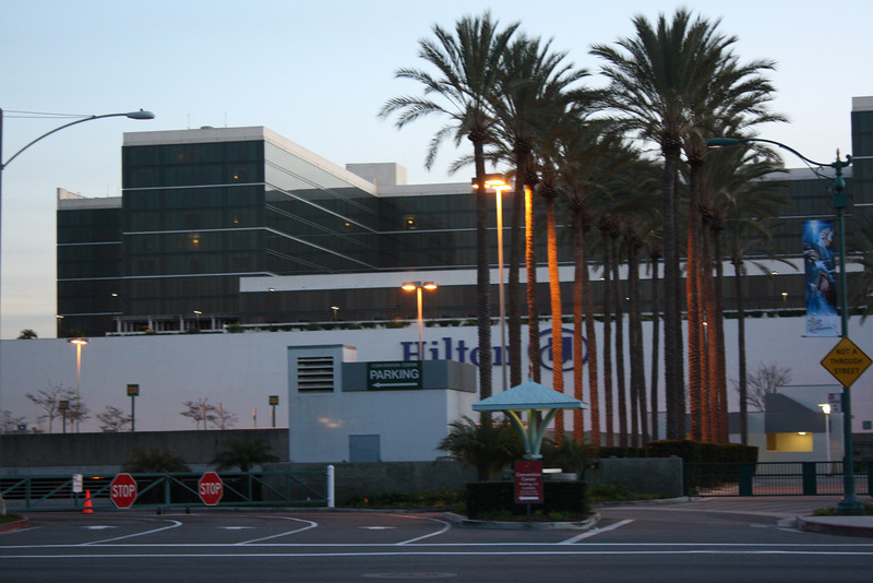 IMG0339-L.jpg