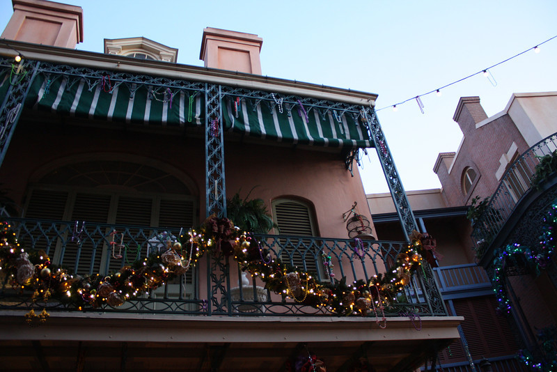 IMG9502-L.jpg