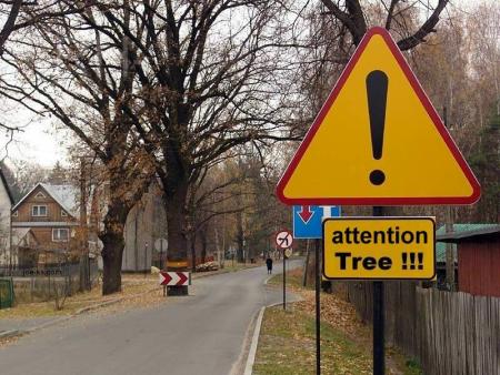 attention-tree.jpg