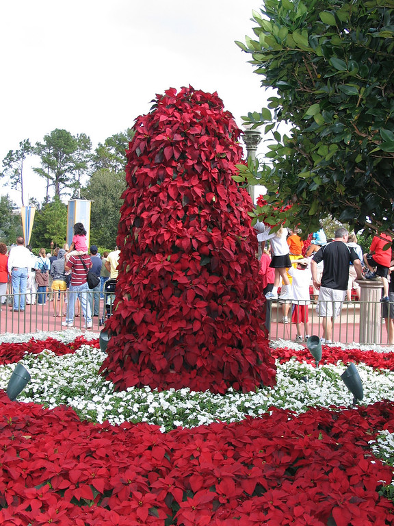 IMG_6575-XL.jpg