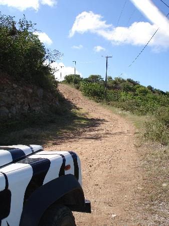 roads-of-tortola-very.jpg