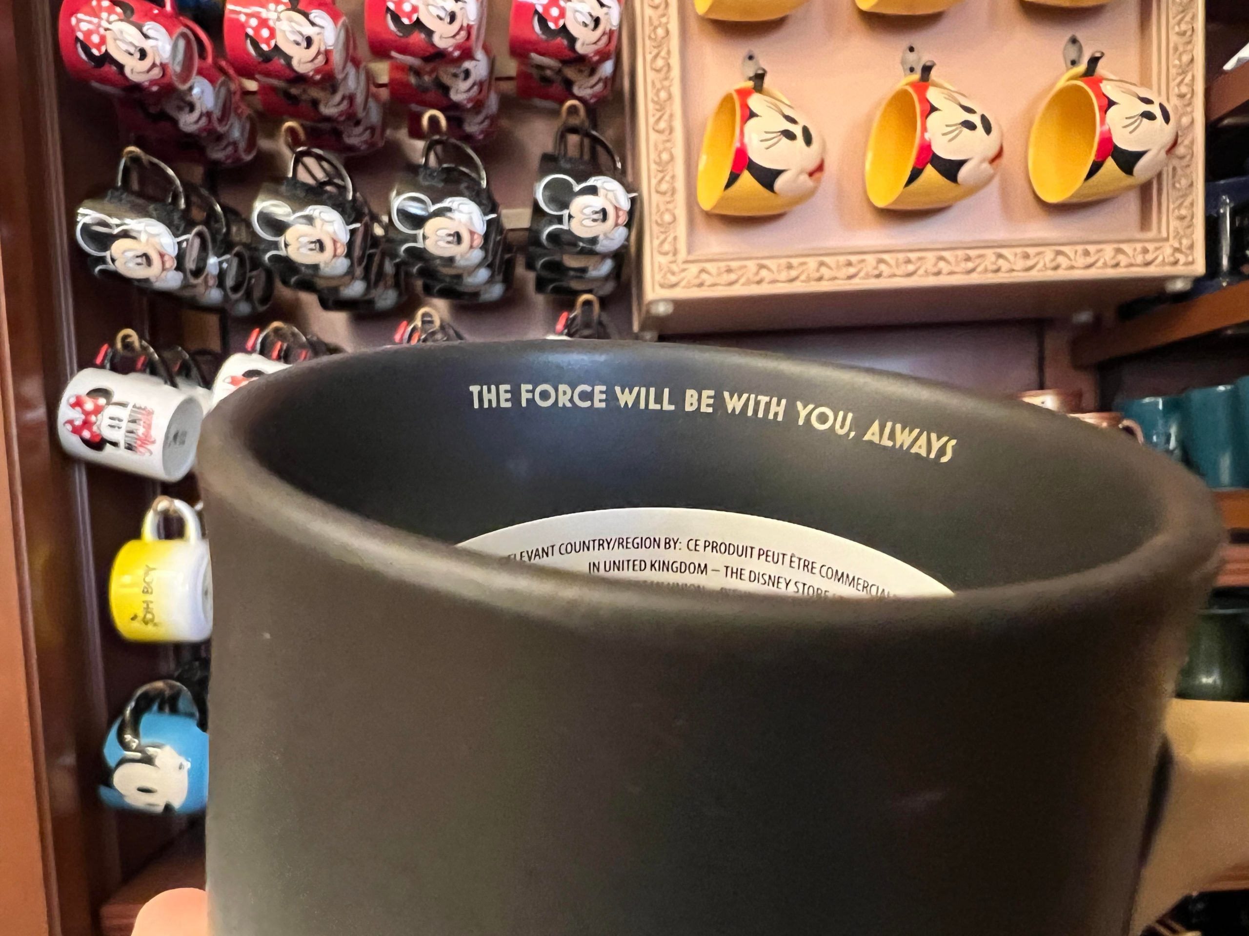 Kenobi-Mug-Inside-scaled.jpeg