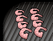 shrimp-on-the-barbie.gif