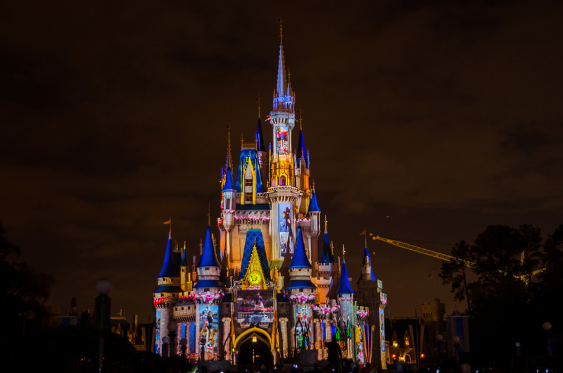 DSC1755-L.jpg