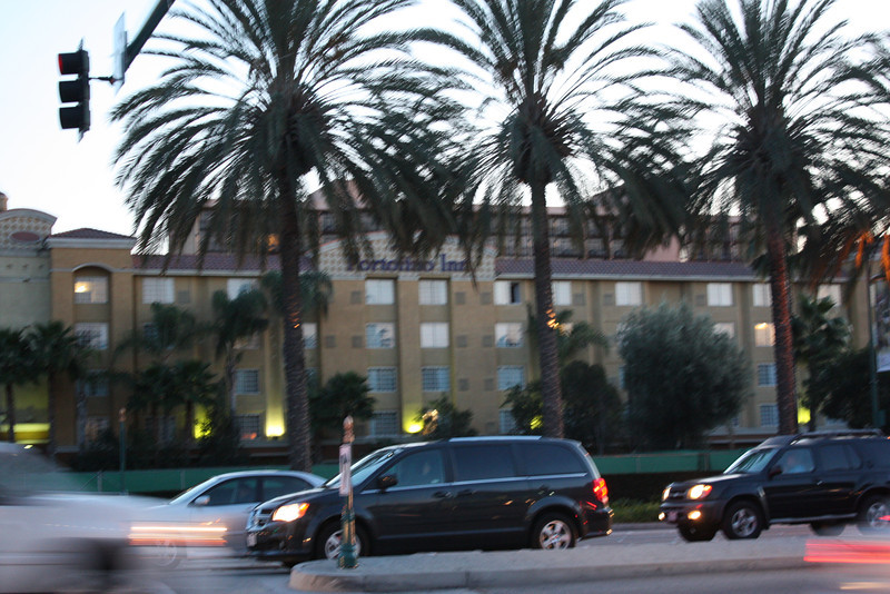 IMG0355-L.jpg
