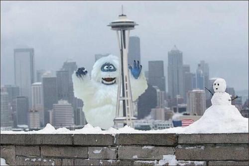 snowmaggedon.jpg