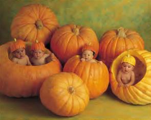 anne_geddes_babies_in_pumpkins.JPG