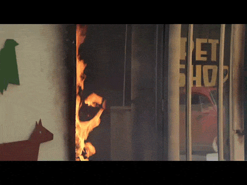 tumblr_m954qdlQVb1rp7m60o1_500.gif