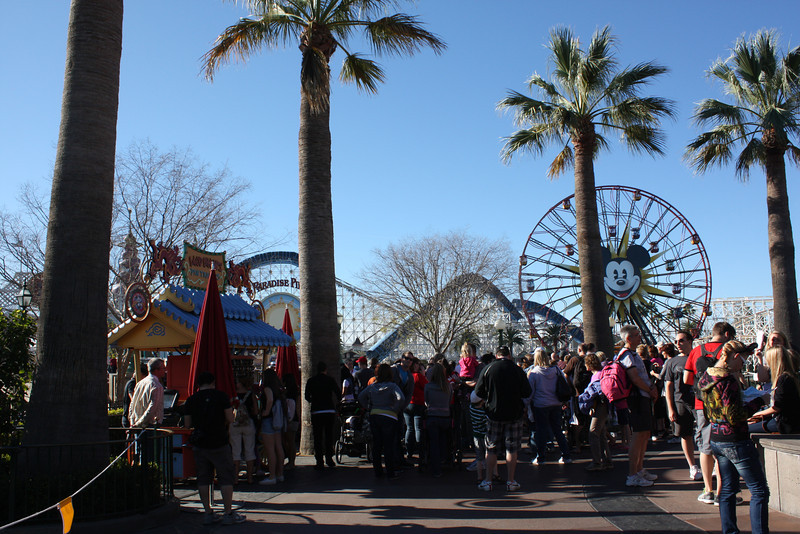 IMG9806-L.jpg