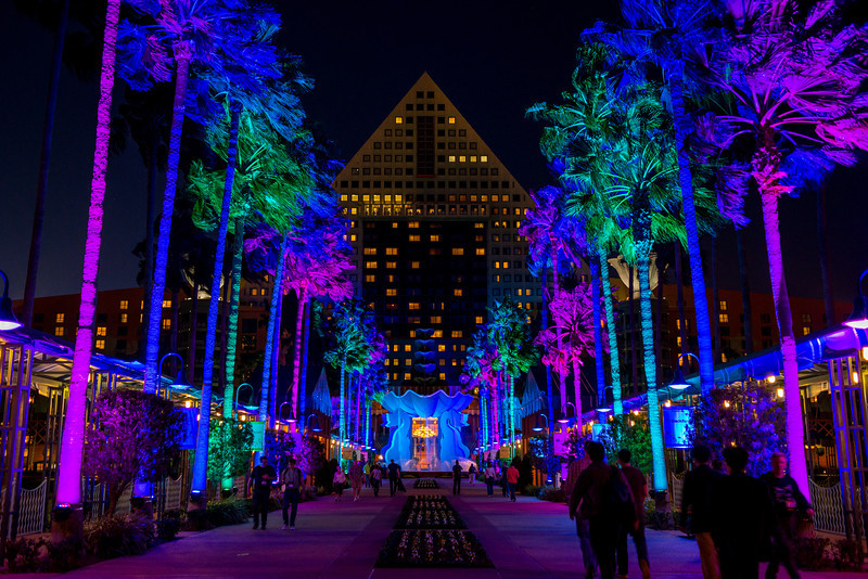 DSC_7713-L.jpg