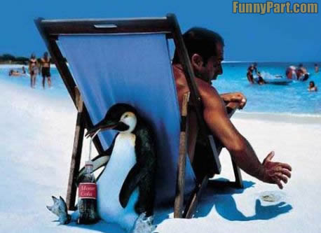 Funny+Penguin-1.jpg
