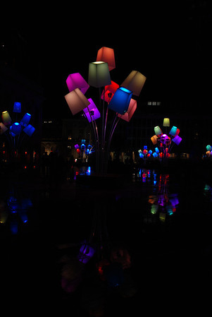 DSC_8103--M.jpg