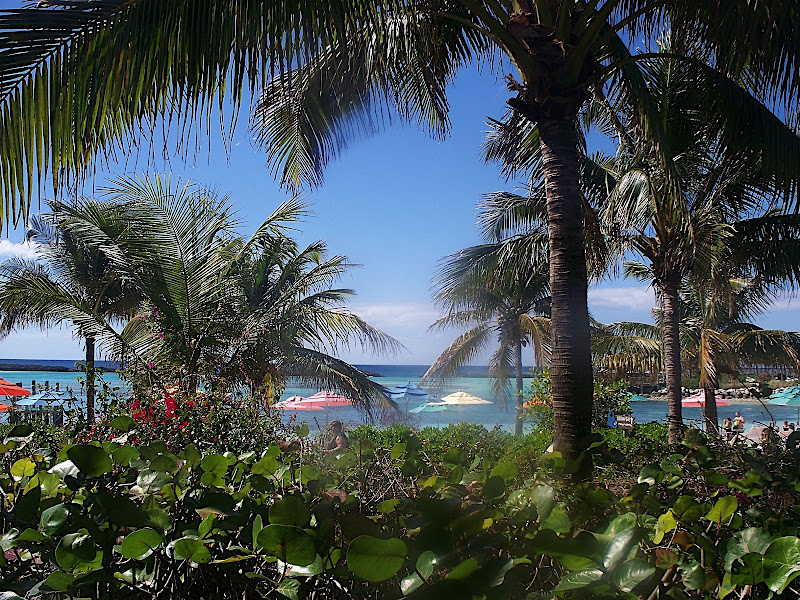Picture%20134.jpg