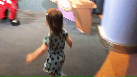 giphy.gif