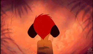 tumblr_lt6xr9GJXo1r0u624o1_400.gif