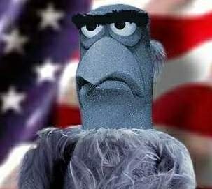 Caturday-Sam-Eagle1.jpg