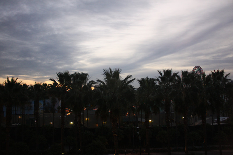 IMG9051-L.jpg