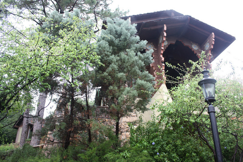 1210527948_9EDs9-L.jpg