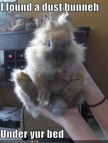 funny-pictures-dust-bunny-under-bed.jpg