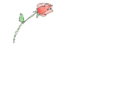 Friendship_rose.gif
