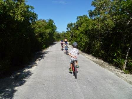 P1040316-bikes.JPG