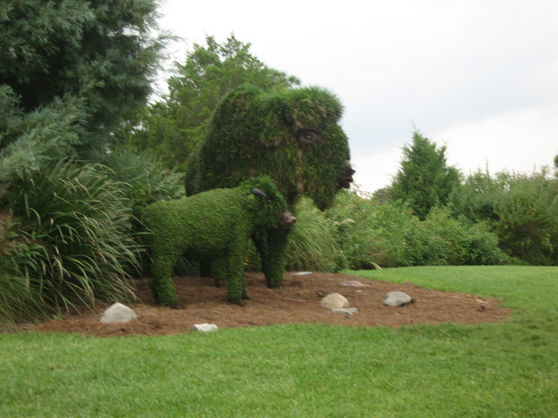WDW%20379-L.jpg