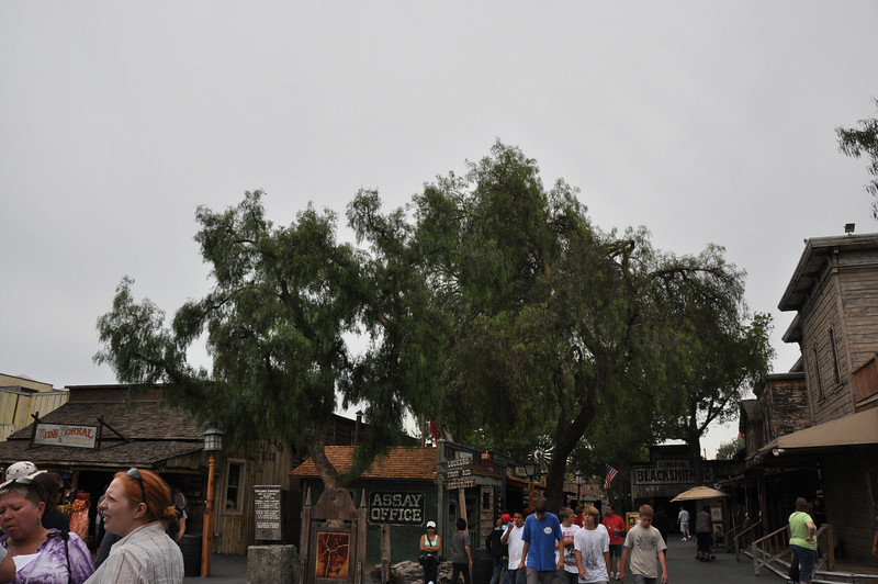 600401561_RfE7d-L.jpg