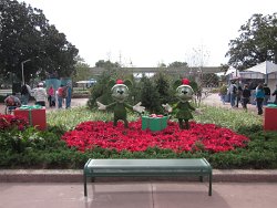 IMG_2823.JPG