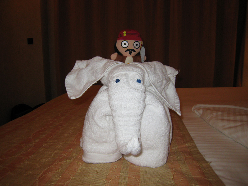 342354741_N5TiA-L.jpg