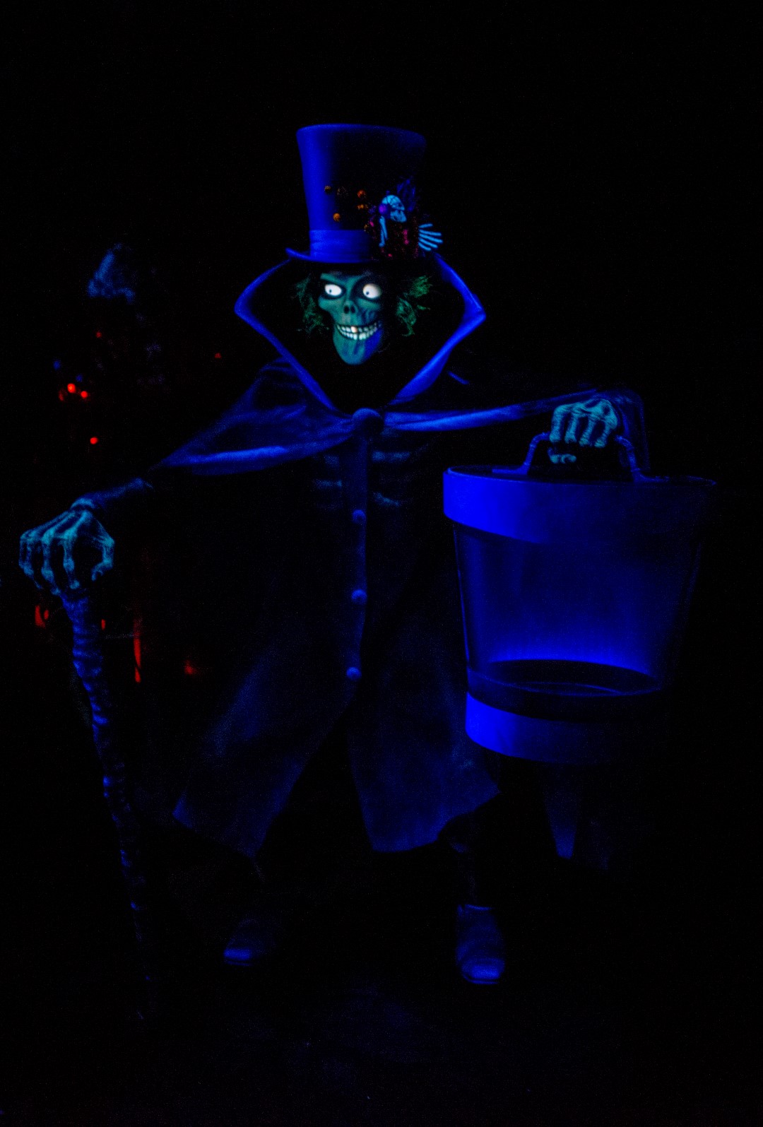 DSC_4165%20(Large).jpg