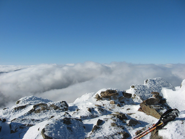 IMG2670-M.jpg