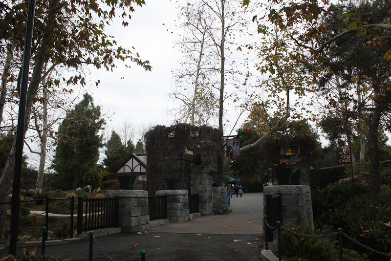 IMG_1331-L.jpg