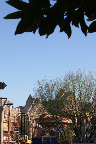 IMG0300-L.jpg