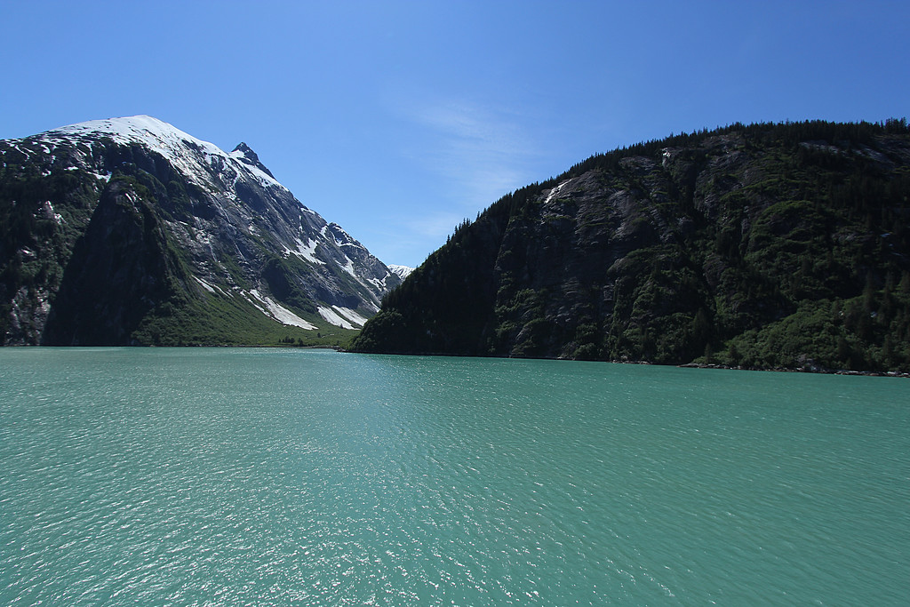 IMG_6415_1-12x8-XL.jpg
