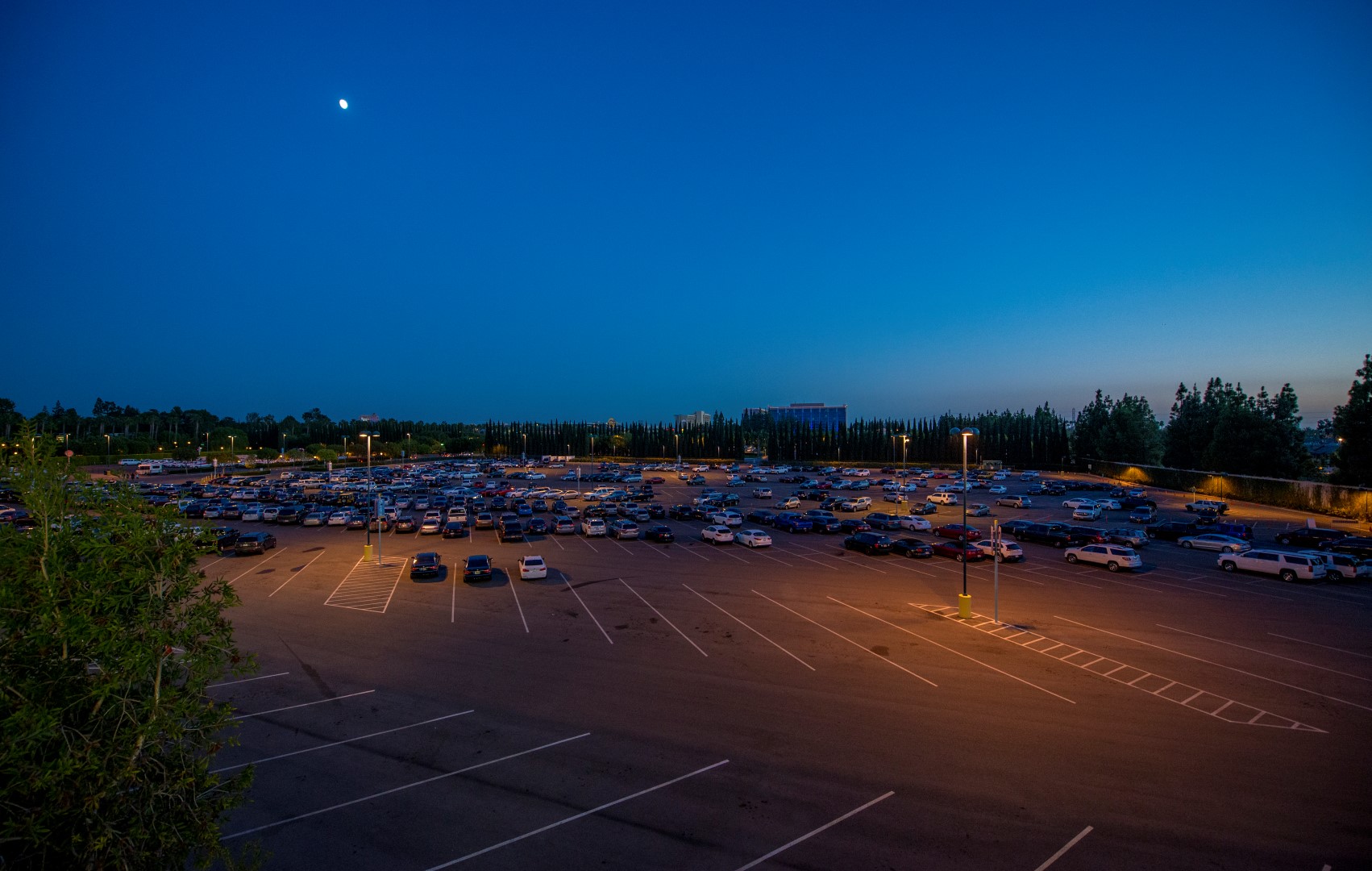DSC_4031%20(Large).jpg